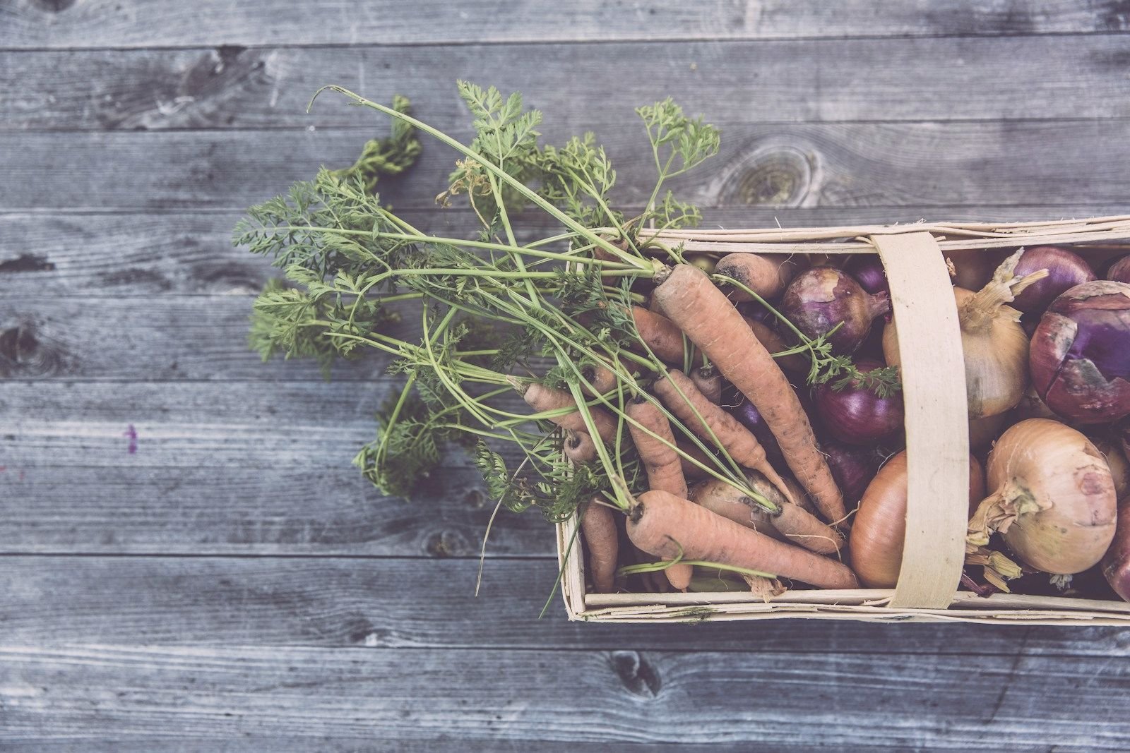 A wooden basket of freshly harvested carrots and onions on weathered boards