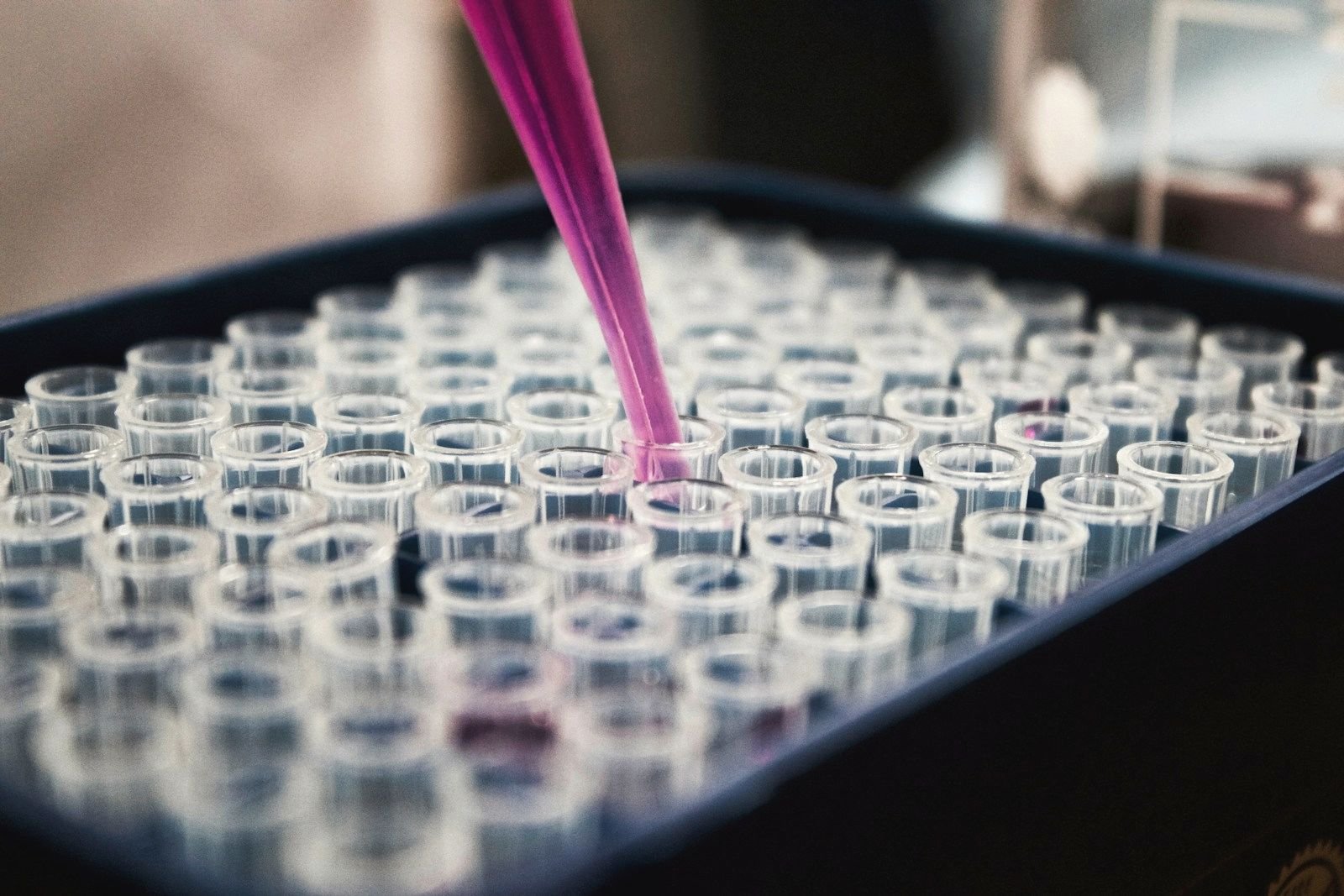 A pipette adding liquid to a tray of sample wells in a research lab
