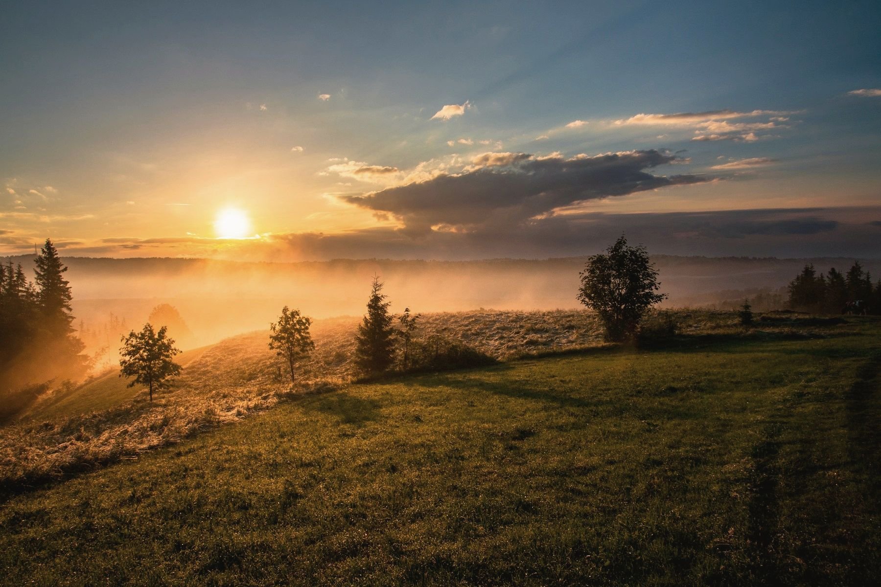 Sunrise over rolling hills and trees with morning fog